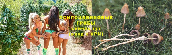 MDMA Краснослободск