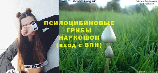 Альфа ПВП Куйбышев