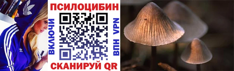 Псилоцибиновые грибы MAGIC MUSHROOMS  Купить закладки  Буйнакск 
